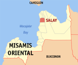 Salay na Misamis Oriental Coordenadas : 8°52'N, 124°48'E