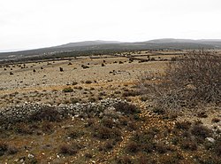 Landscape near Belej