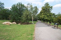 Cesta středem parku, léto 2007