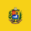 Президентский стандарт Венесуэлы (1997-2006) .svg