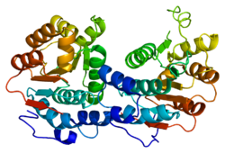 Белок EIF4A1 PDB 2g9n.png