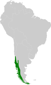 Carte de l'Amérique du Sud en gris, l'extrême sud-est en vert.
