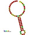 HIV ribosomal frameshift signal