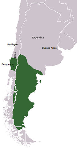 Карта на Араукания и Патагония