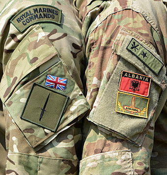 The Commando Flash and dagger worn on a sleeve of a Multi-Terrain Pattern (MTP) uniform