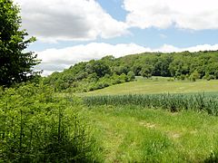 Paysage au nord-ouest du village.