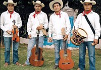 Conjunto de música calentana de guitarra, violín y tamborita.