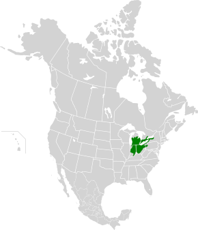 Description de l'image Southern Great Lakes forests map.svg.