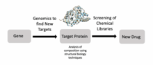 Flowchart of how structural biology plays a role in drug discovery Structural Biology and Drug Discovery.png