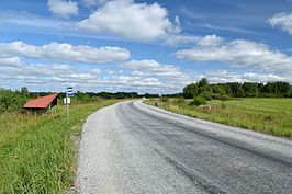 De weg tussen Surju en Seljametsa bij Vaskrääma