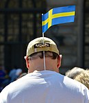 Sveriges nationaldag