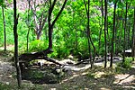 Miniatura para Parque nacional Tandooreh