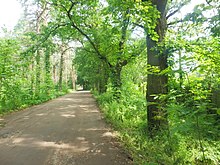 Святе (Пролетарський гай), м. Чернігів, південна околиця