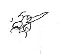 Signature of George VIII of Georgia