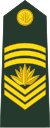 Бангладеш-армия-OR-9.svg
