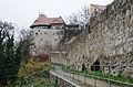 Mühlbastei (Einzeldenkmal zu ID-Nr. 09301008)