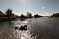 View of the Bow River