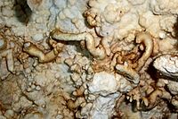 Геликтит в пещере Арджери (Медвежьей)