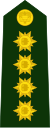 Colombia-Army-OF-9.svg