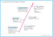 Le cycle de l'image numérique