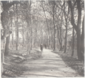 Deux personnes dans le parc de la tête d'or.