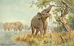 Dinotherium por Heinrich Harder, ca 1916