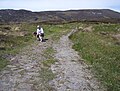 Hills in County Donegal, Ireland 2006