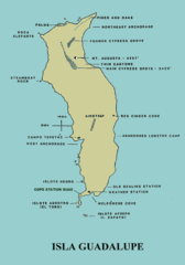 Mapa wyspy