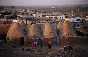 Traditional mud brick houses shaped like beehi...