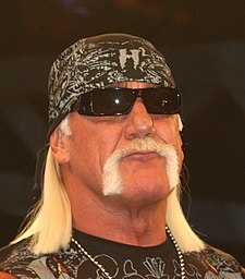 Hulk Hogan July 2010 - cropped.jpg