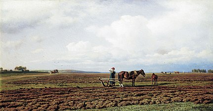 Na zoranym polu, 1872