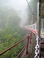 霧の中を走る黒部峡谷鉄道