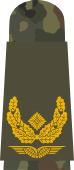 LA OS5 61 Brigadegeneral.svg