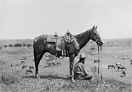 Erwin E. Smith (1886-1947), A wrangler keeping an eye on the remuda grazing below in an arroyo, 1910