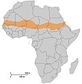 صورة مصغرة لـ السور الأخضر العظيم (إفريقيا)
