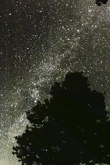 MilkyWay behind Tree 2.jpg