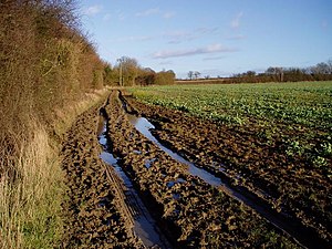 English: Muddy track near Sandons Farm. The so...