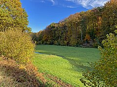 das Quellgewässer ist zu einem Wiesenbach angeschwollen u. fließt parallel zum Sprockhöveler Bach