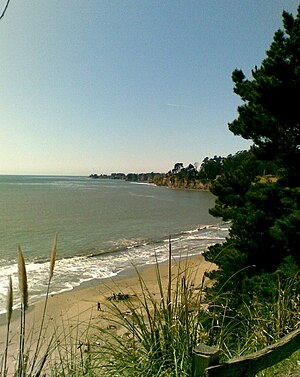 English: New Brighton State Beach near Santa C...