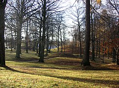 Iron Age Burial mounds