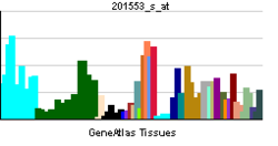 PBB GE LAMP1 201553 s at tn.png