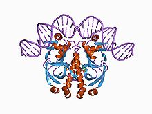 Nucleotide Binding