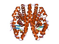 PDB 1gwq EBI.jpg