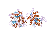 2d1i: Structure of human Atg4b