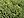 Berkas: Pianta grassa.jpg (row: 13 column: 21 )
