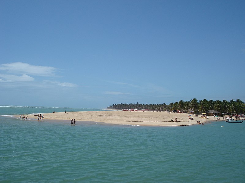 Ficheiro:Praia do Gunga 140.jpg