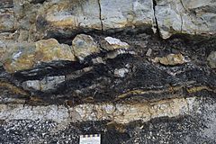 Princeton Chert sequence .jpg