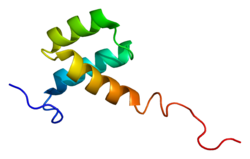 Белок HOXA5 PDB 1hom.png