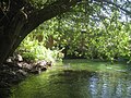 Brücke über den Rheinseitenkanal bei Honau