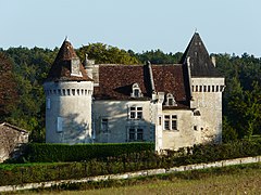 Le château de Bellussière.